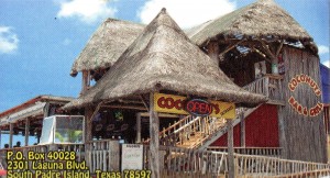 South Padre Island Coconuts